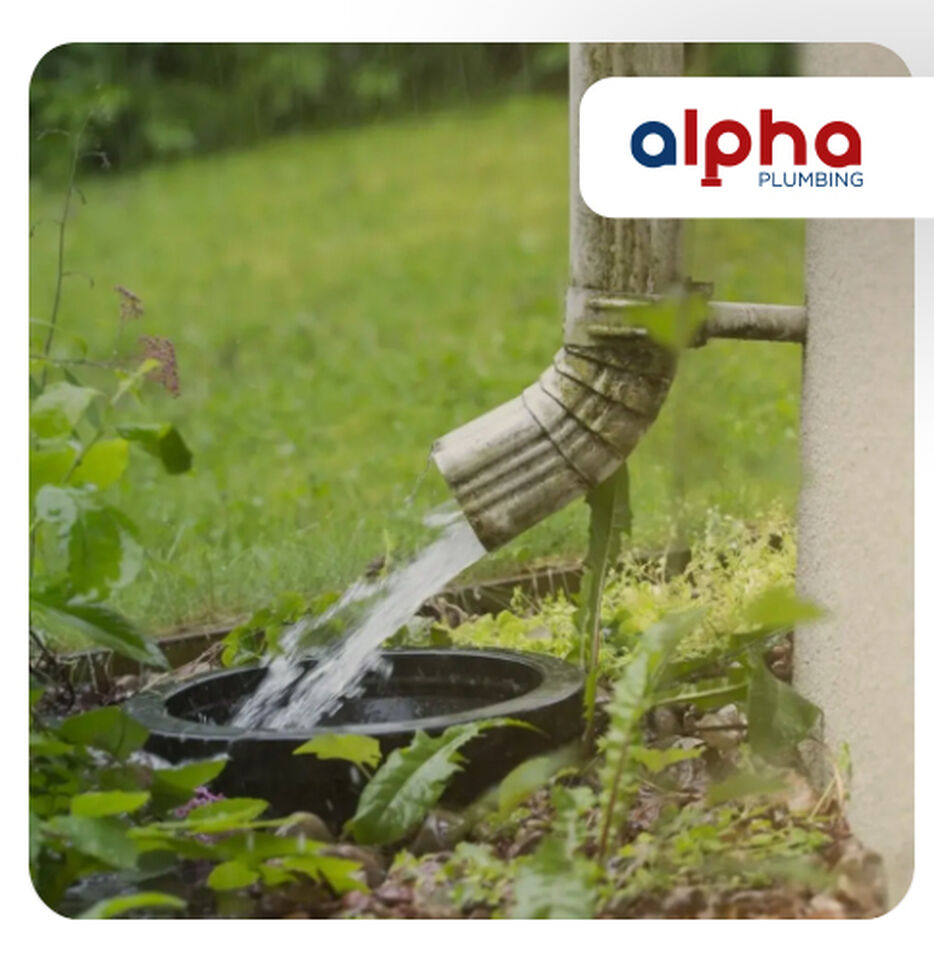 Top 17 Expert Tips for Rainwater Harvesting in South Africa – Premium Plumbing Advice