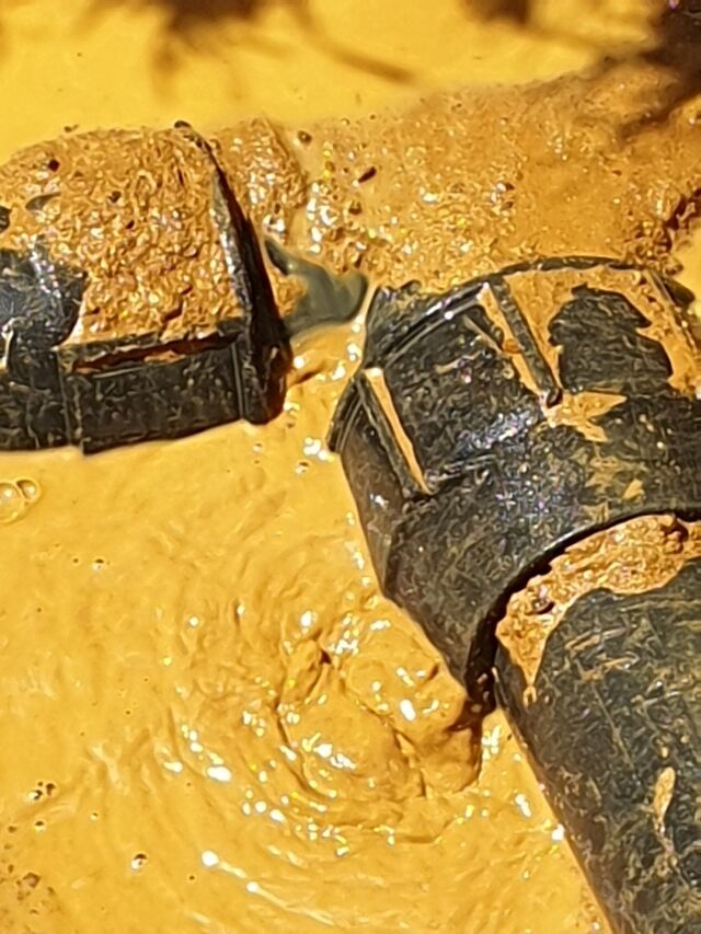 20190313 111333 resized 2